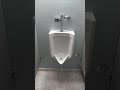 why you shouldn't poop in the urinal