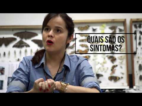 O que é Zika Vírus?  Com Luciana Moura