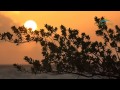 Maldives (Tom Grant "Clear thoughts") - Gedeon S Maldives (Tom Grant "Clear thoughts")