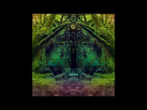 Noizebug  -  The Cosmos Welcomes You