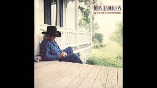 Would You Catch a Falling Star - John Anderson