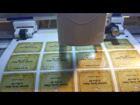 Print & Cut Vinyl Sticker with Cuyi Mini Cutter Plotter