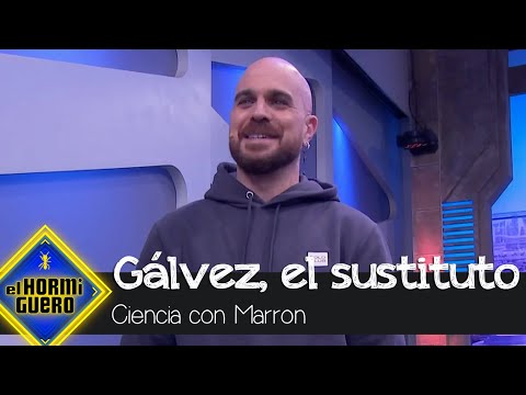 ¿Quién es Gálvez? Conoce al sustituto de Marron - El Hormiguero