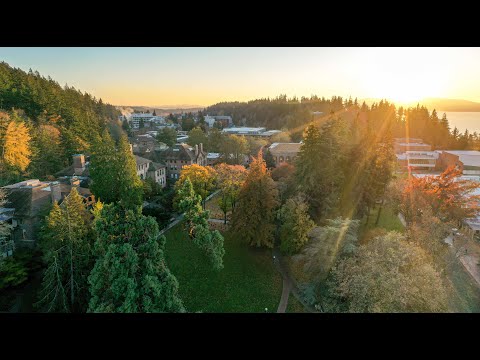 This is WWU, We Are Vikings