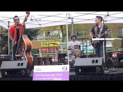 (1)Hurricane Felix & the Southern Twisters - Lilac Festival 2012