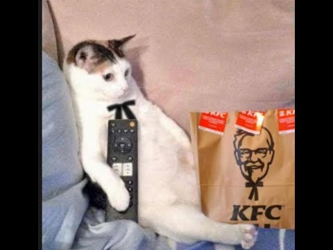 El falserio! Creada con IA suno.