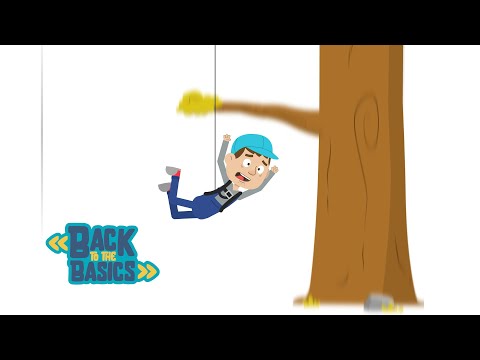 Back to the Basics | "Climbing a Tree" | Official Music Video