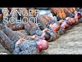 US Army Ranger School - The Toughest Combat Course In The World