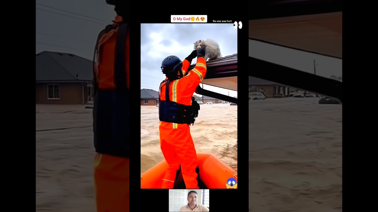 MashAllah ☝️😇 Respect 😍 #allah #shorts #status #respect