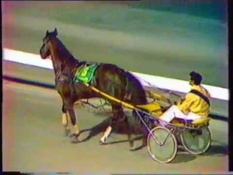 1984 Interdominions - Globe Derby Park, Adelaide, Pacers' Grand Final: Gammalite