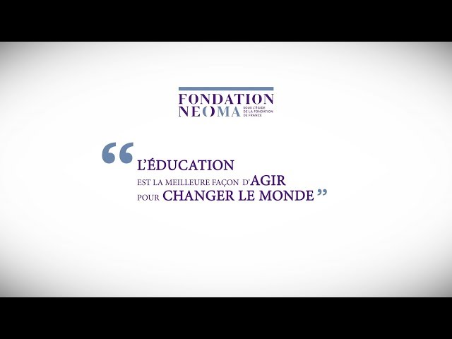 Image de présentation de la vidéo
