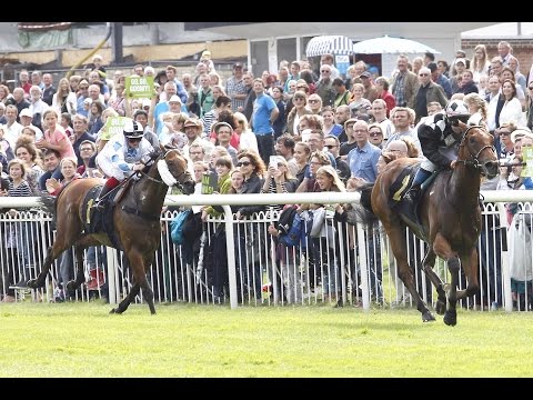 Berlin-Hoppegarten: pferdewetten.de Match Race 2015