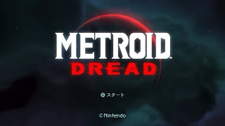 ドレッドをやるど