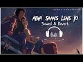 Abhi Saans Lene Ki Fursat Nahi Hai | Slowed & Reverb | Lofi 90s Romantic Song