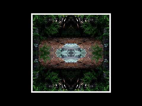 Derrok - Salvaje Libertad ( 2020 )