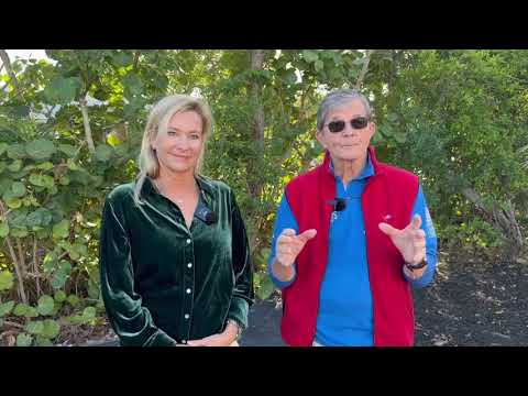 Roots in Resilience Promo - December 2025