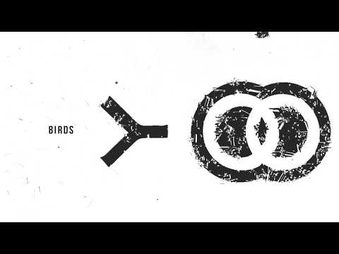 ROSS AINSLIE AND ALI HUTTON - SYMBIOSIS II - BIRDS (OFFICIAL VIDEO)