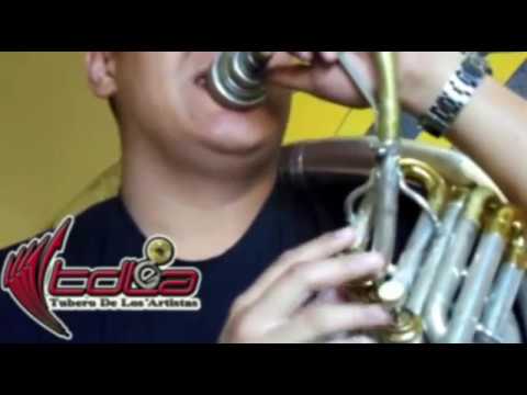 Como tocar EL SINALOENSE en TUBA...