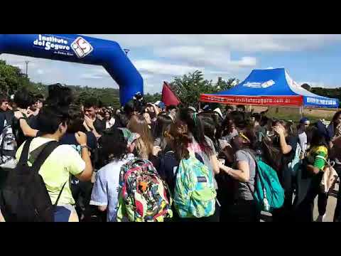 El festejo de los estudiantes de Concordia en Conducí Tu Curso