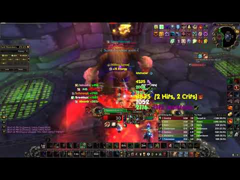 Naxx Combat Rogue PoV (Loatheb)