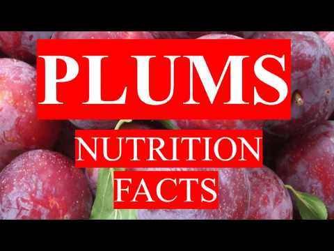 download lagu mp3 mp4 Nutritional Value Of Plums, download lagu Nutritional Value Of Plums gratis, unduh video klip Nutritional Value Of Plums