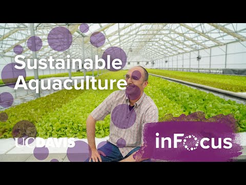 Aquaculture and Aquaponics | UC Davis