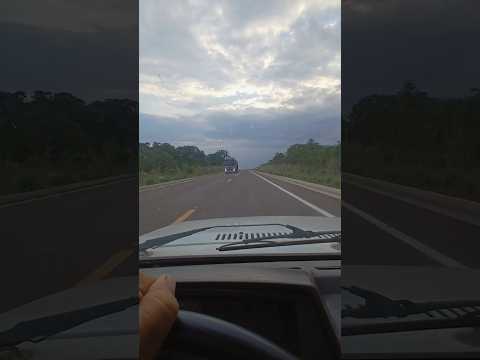 De canarana a gaúcha do norte Mato Grosso.