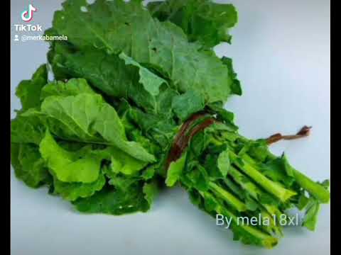 NDEMERERIE BY MERKABA MELA