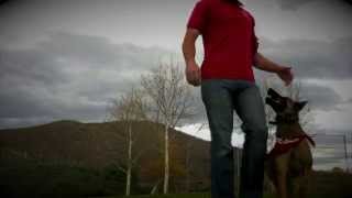 preview picture of video 'LimitLess Dog Training in Temecula | Temecula Dog Trainers'