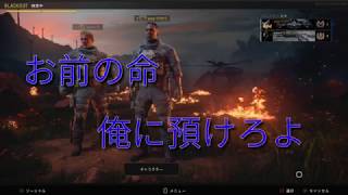 【個性強め】COD:BO4で遊んでみた