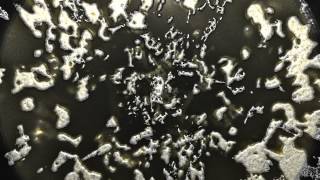 Grand Theft Auto 3 OST - Sean Price - Keep Rising To The Top (RARE DIRTY FULL VERSION) (720p)