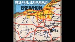 David Thomas and Two Pale Boys - Morbid Sky