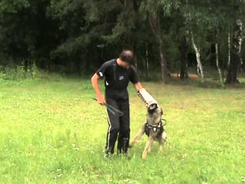 Dex z údolí Úpy - defence training