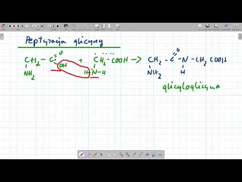 Peptyzacja glicyny