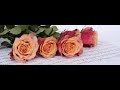 Une Simple Mélodie - Michel Polnareff (With lyrics).