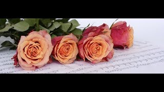 Une Simple Mélodie - Michel Polnareff (With lyrics).