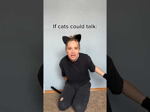 If cats could talk pt. 2