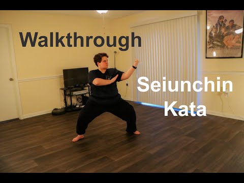 Walkthrough: Seiunchin Kata