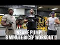8 MINUTE BICEP WORKOUT FOR A MASSIVE PUMP