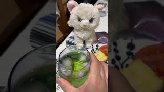 美味しそうに梅酒を呑むBBAとニャンコ