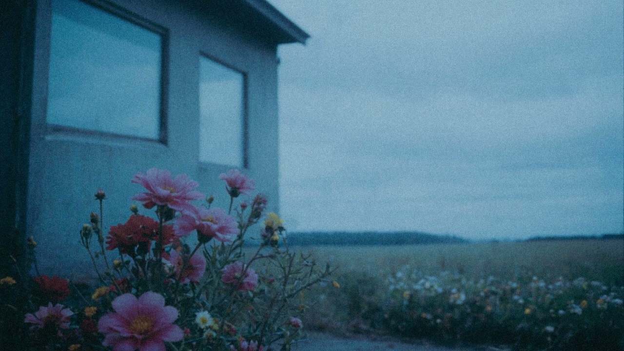 cosluar - flowers in the wind