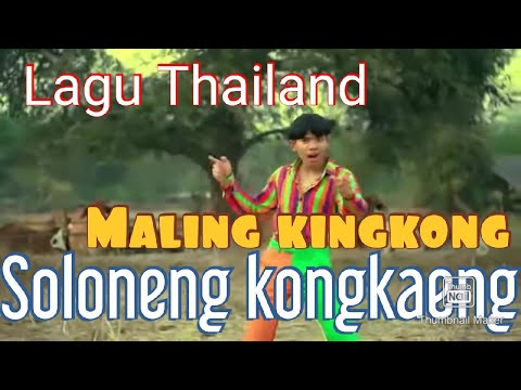 Lagu Thailand MALING KING KONG SOLONENG KONGKENG (Oficial video clip )