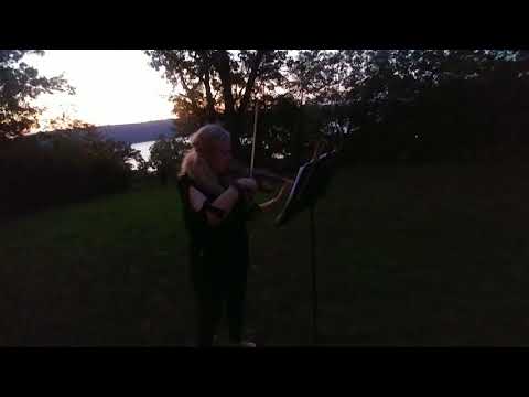 Cosmic Love solo violin