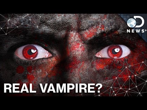 The True Origin of Zombies, Vampires, and Werewolves