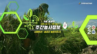 [ 주간농사정보 ] 9월 둘째주