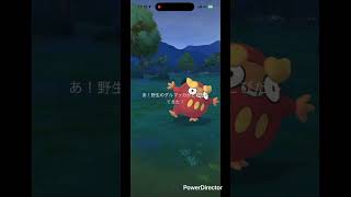 デカダルマッカ #pokemongo #pokemon #ポケgo #ポケモン #ポケモンgo #pokémon