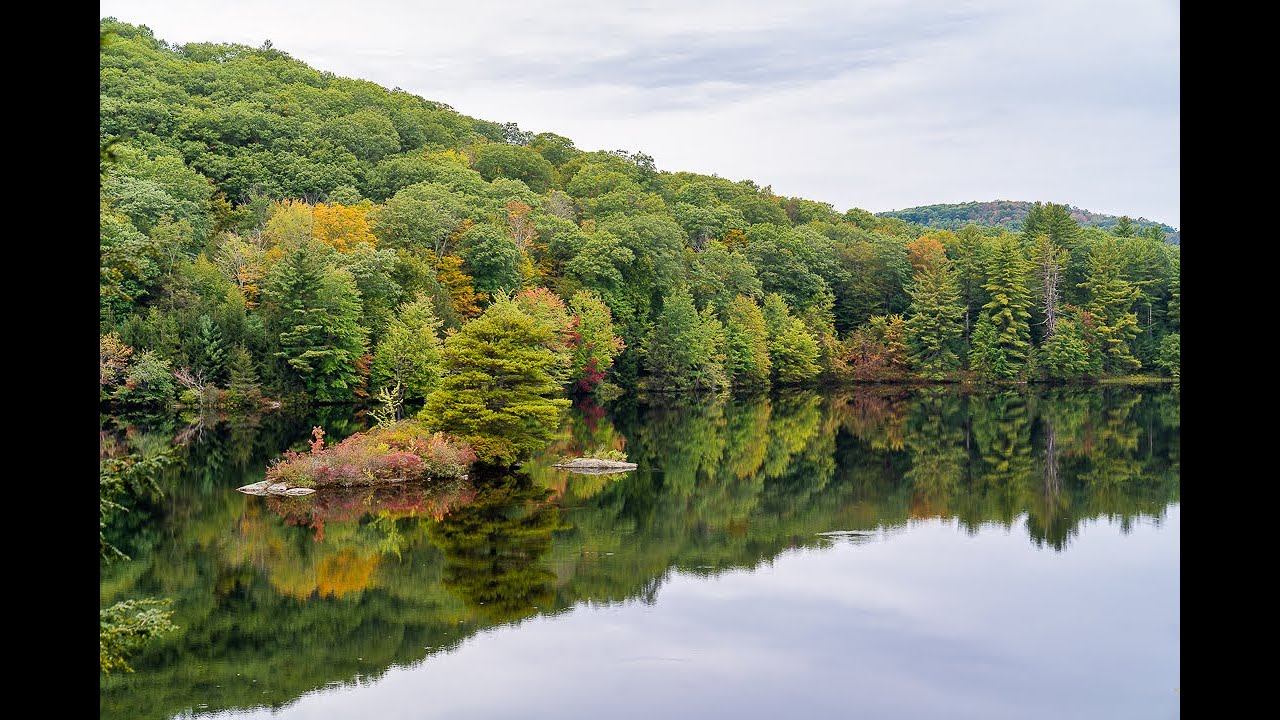 Amazing Shrubs and Perennials for Fall Color - my favorites!