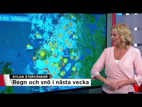 Kylan återvänder - regn och SNÖ i nästa vecka - Nyheterna (TV4)