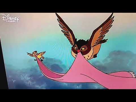 Cap und Capper (Disney 1981) - Ein neues Zuhause für Cap