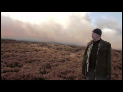 The Travelling Band - Hands Up (Official Video)